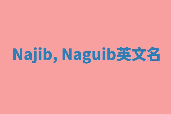 Najib, Naguib英文名